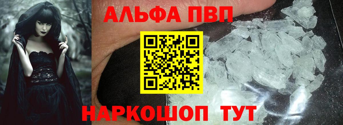 A PVP СК КРИС Мурманск