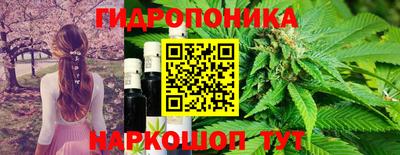 PSILOCYBIN Тара