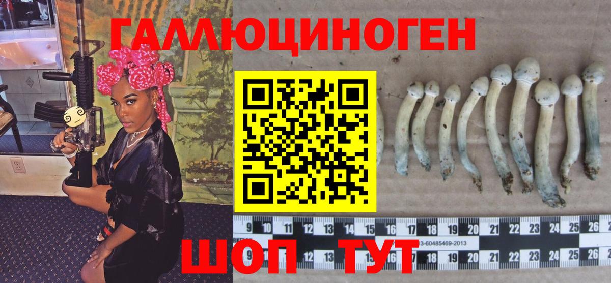 Мурманск  Галлюциногенные грибы MAGIC MUSHROOMS  Галлюциногенные грибы Magic Shrooms  Вход с VPN 
