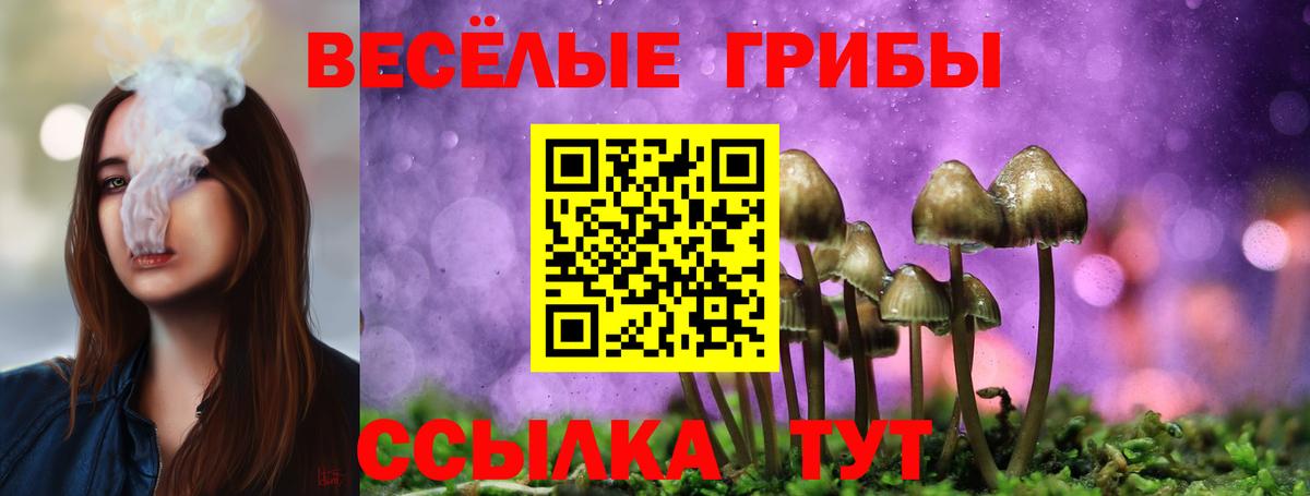 Псилоцибиновые грибы Мурманск